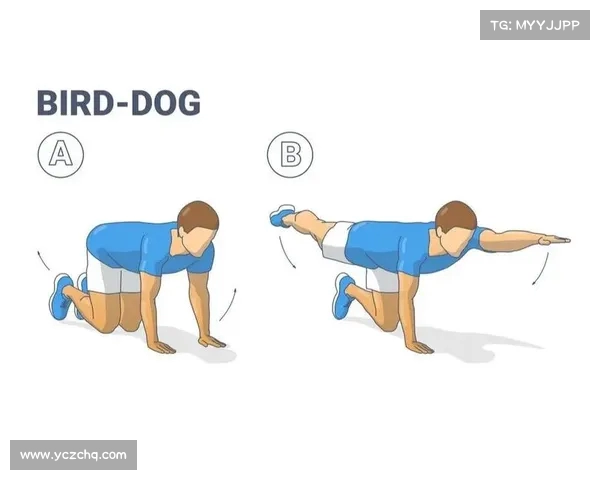 高尔夫健身训练方法与技巧全面解析 提升你的球场表现和身体素质