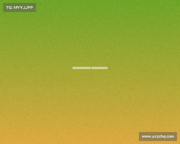 英媒称纽卡仍有意引进维萨 并已启动雅克松转会谈判